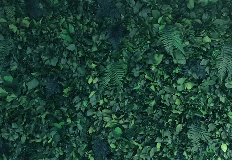 Benetti Java - Perete Plante Naturale