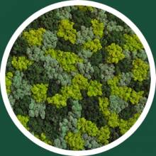 Green Mix