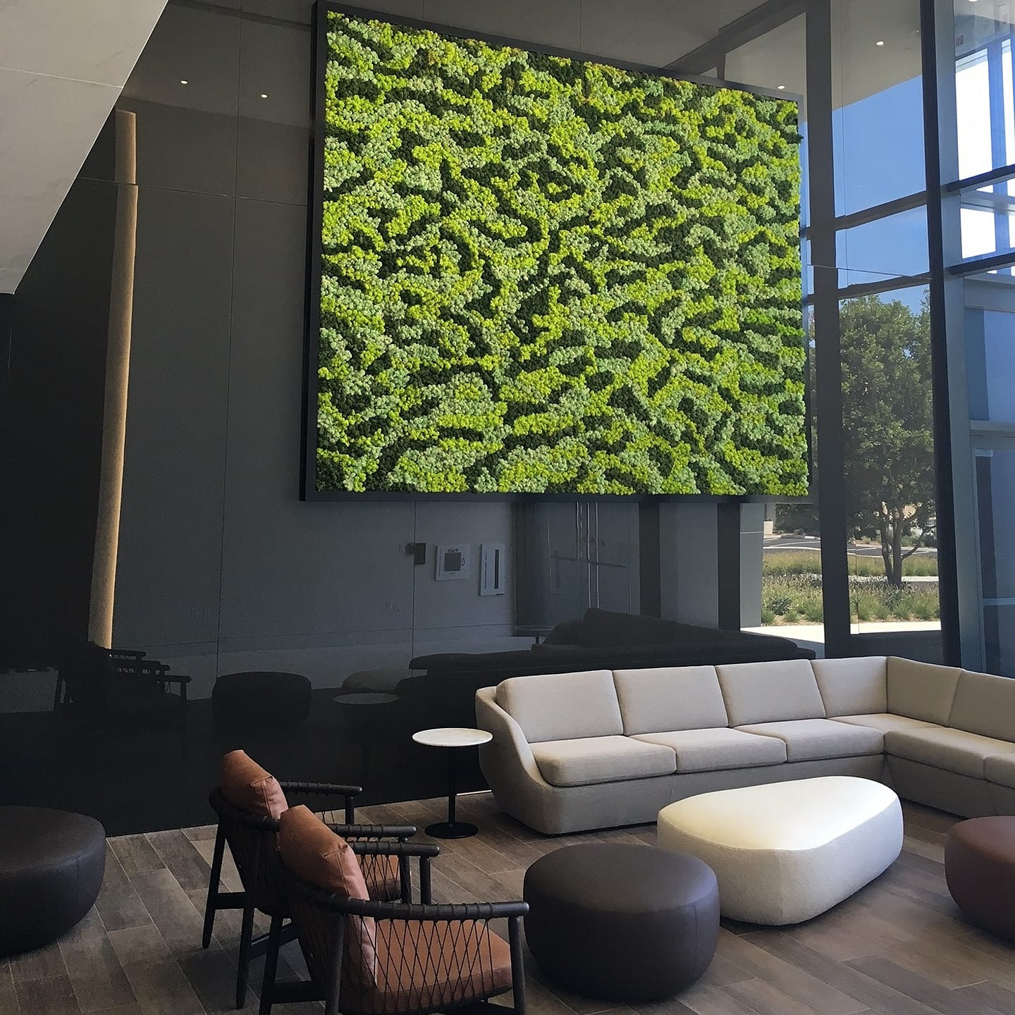 Muschi decorativ natural galerie 3
